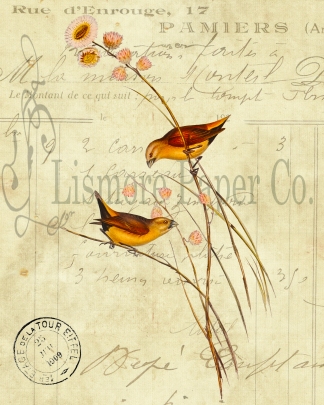 Gold Finch Invoice Paper Watermark